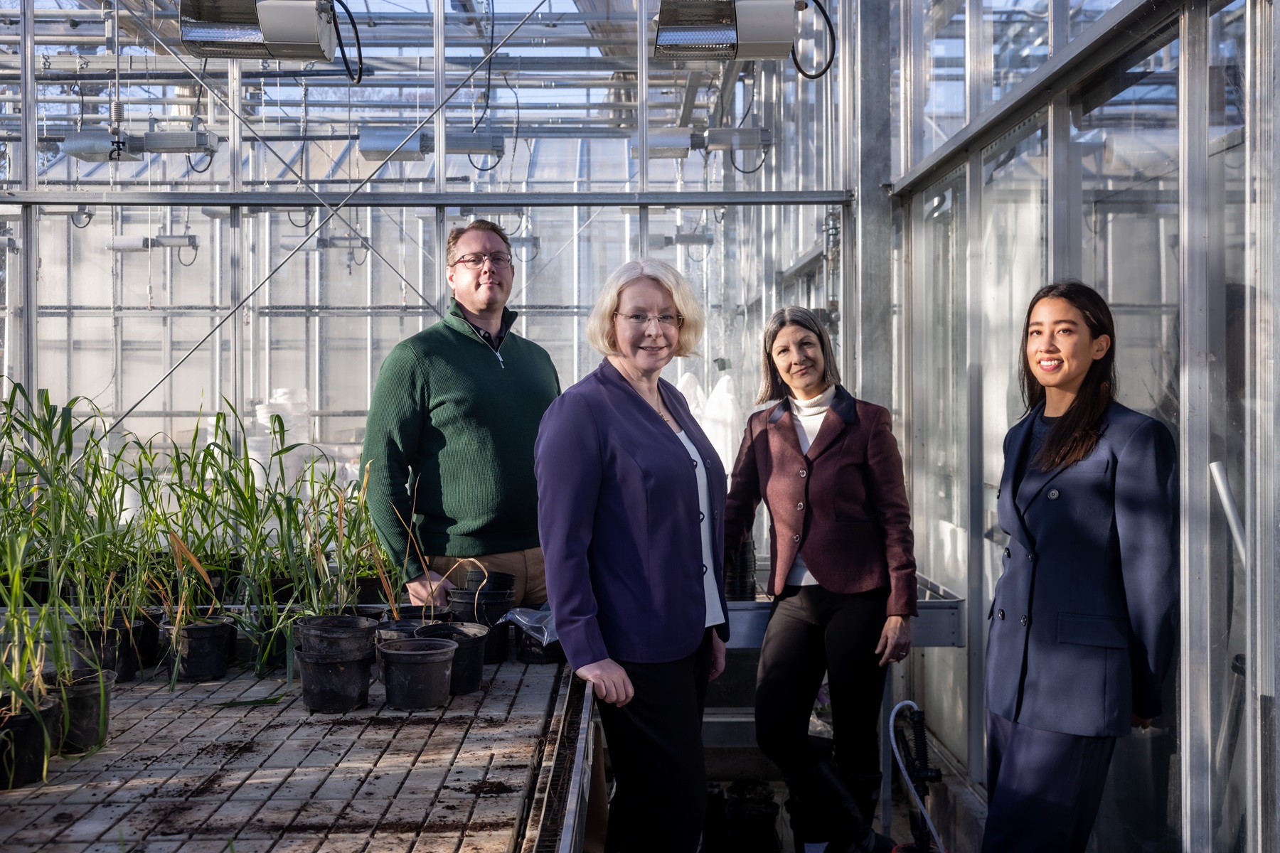 Croprevive group photo in Rosemount glasshouse